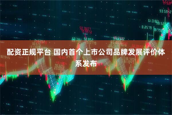配资正规平台 国内首个上市公司品牌发展评价体系发布